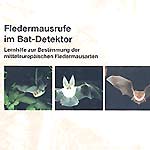 fledermausinfo